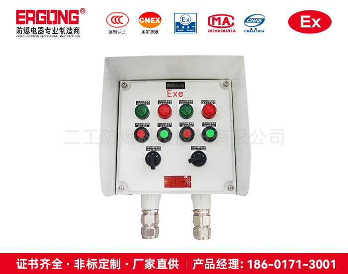 專業生產防爆防腐接線箱隔爆操作柱